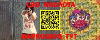 гашик Бийск