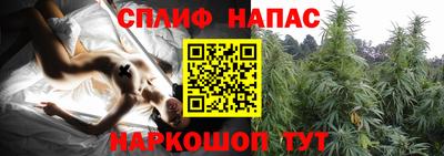 гашик Бийск