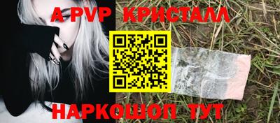 гашик Бийск