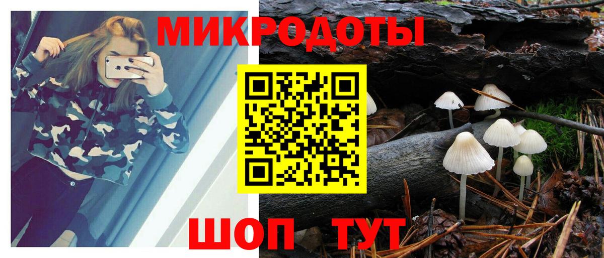 продажа наркотиков  Псилоцибиновые грибы MAGIC MUSHROOMS  Керчь  Вход с VPN  Галлюциногенные грибы Psilocybine cubensis 