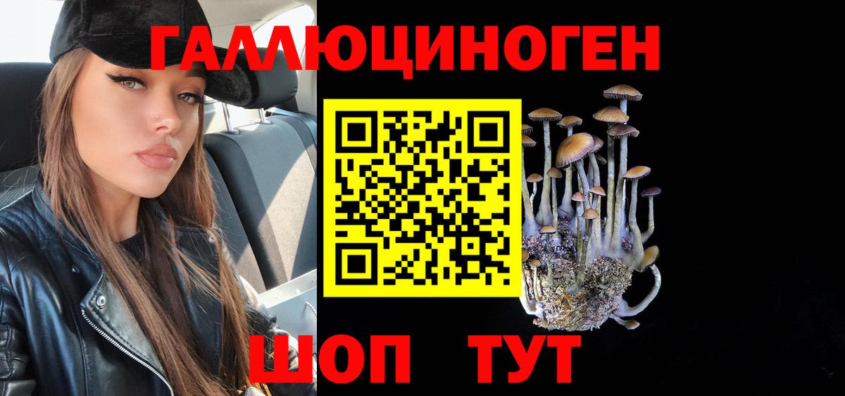 Галлюциногенные грибы GOLDEN TEACHER Керчь